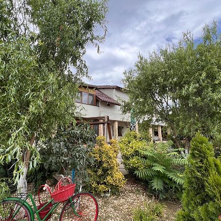 Casa Vera, Tudor Vladimirescu Τουλσέα Εξωτερικό φωτογραφία